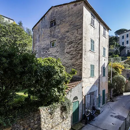 Hills By Wonderful Italy Camogli